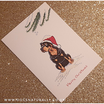 Rottweiler Christmas Card (Flitter Range)